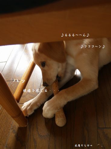 椅子の下