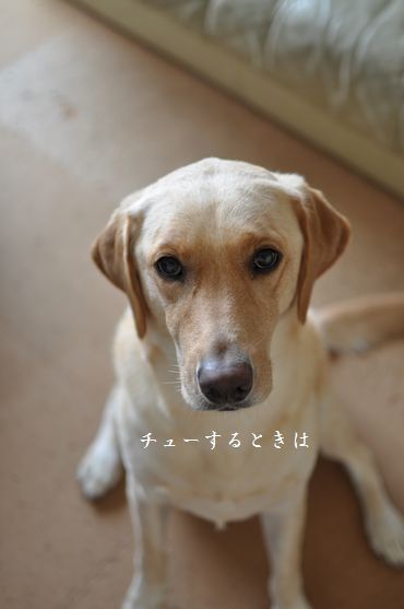 母ちゃんちの晩御飯とどたばた日記