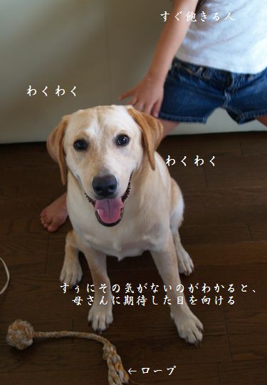 母ちゃんちの晩御飯とどたばた日記-P7254794