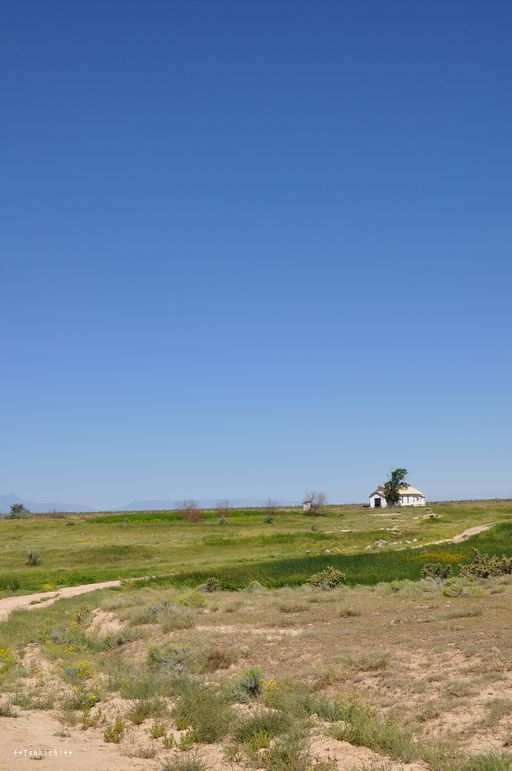 母ちゃんちの晩御飯とどたばた日記