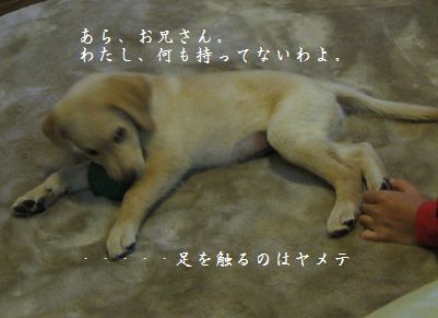 カジカジカジカジ