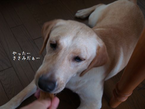 母ちゃんちの晩御飯とどたばた日記-P8205707