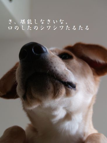 下アングル