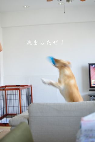 井上かなえオフィシャルブログ　「母ちゃんちの晩御飯とどたばた日記」Powered by Ameba