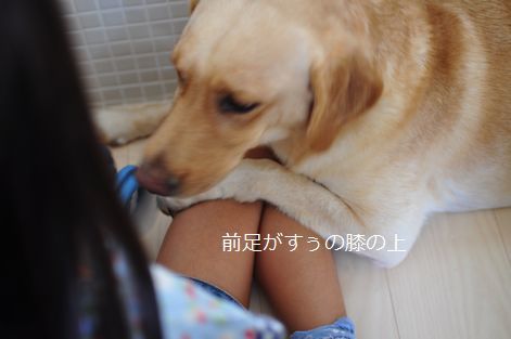 井上かなえオフィシャルブログ　「母ちゃんちの晩御飯とどたばた日記」Powered by Ameba