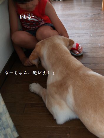 母ちゃんちの晩御飯とどたばた日記-P7124428