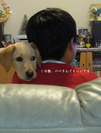 兄さんとメイ3
