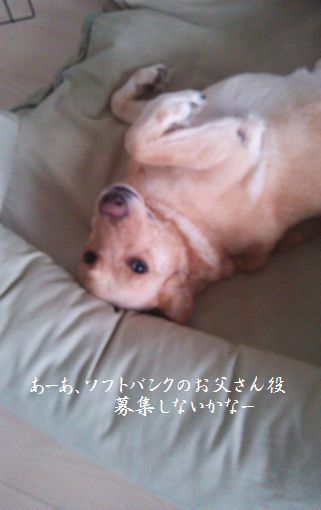 井上かなえオフィシャルブログ　「母ちゃんちの晩御飯とどたばた日記」Powered by Ameba