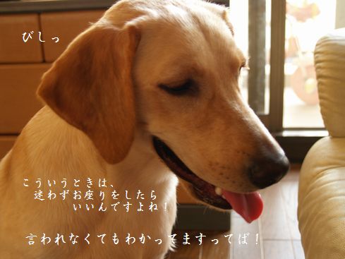 母ちゃんちの晩御飯とどたばた日記-P9226435