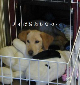 おねむなメイさん