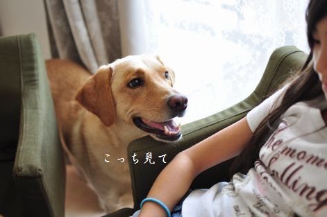 井上かなえオフィシャルブログ 「母ちゃんちの晩御飯とどたばた日記」Powered by Ameba