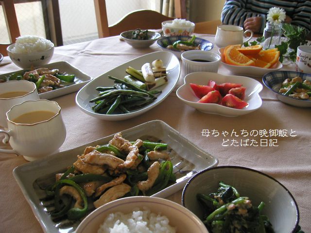 2006年5月4日(木)