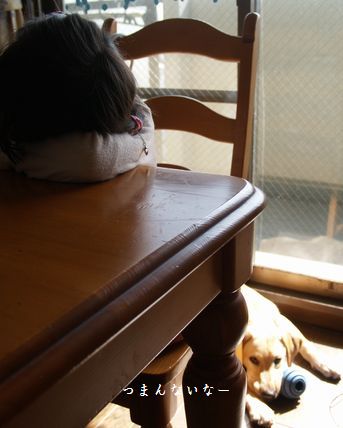 そうだよねそうなるよね