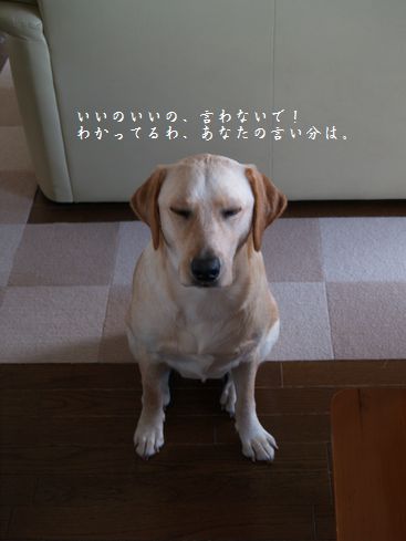 メイさん