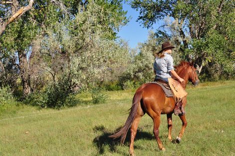 母ちゃんちの晩御飯とどたばた日記