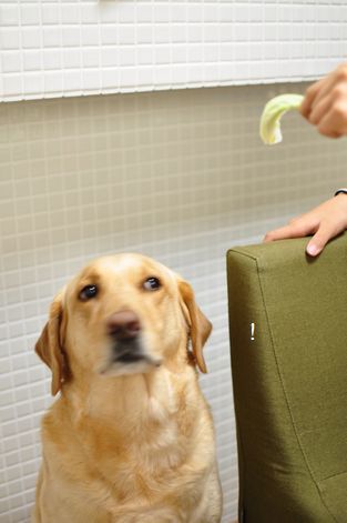 井上かなえオフィシャルブログ 「母ちゃんちの晩御飯とどたばた日記」Powered by Ameba