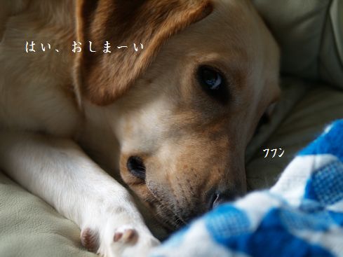 寝癖