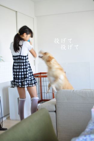 井上かなえオフィシャルブログ　「母ちゃんちの晩御飯とどたばた日記」Powered by Ameba