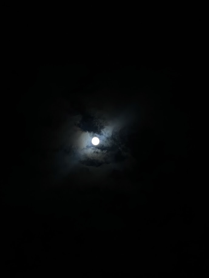 IMG_8271