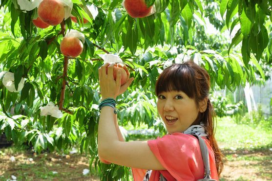 井上かなえオフィシャルブログ 「母ちゃんちの晩御飯とどたばた日記」Powered by Ameba