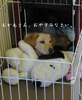 おねむなメイさん
