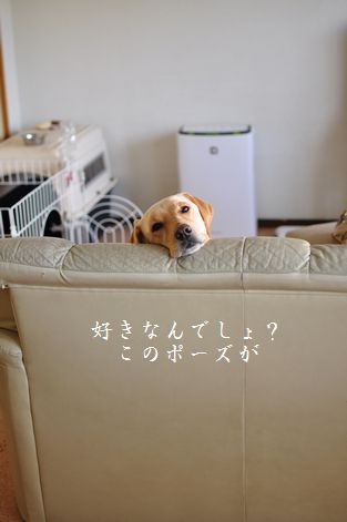母ちゃんちの晩御飯とどたばた日記