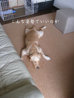 おいしいもの