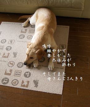 ヒマなのか