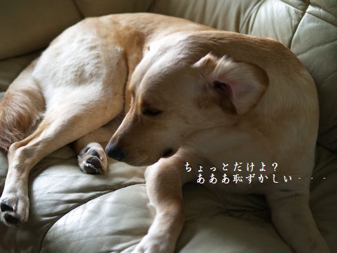 寝癖
