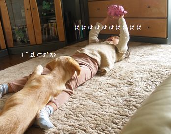 すぅとメイ