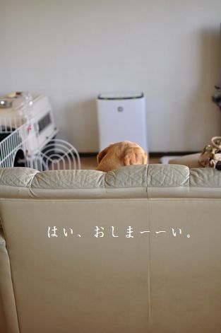 母ちゃんちの晩御飯とどたばた日記