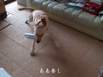母ちゃんちの晩御飯とどたばた日記