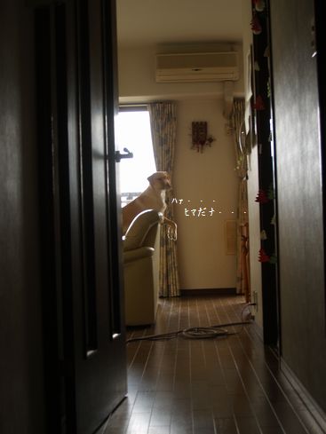 tenkichiのブログ-PC178584