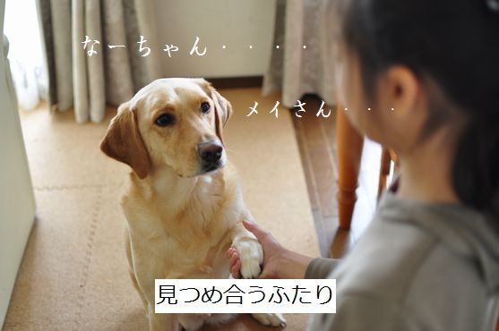 母ちゃんちの晩御飯とどたばた日記