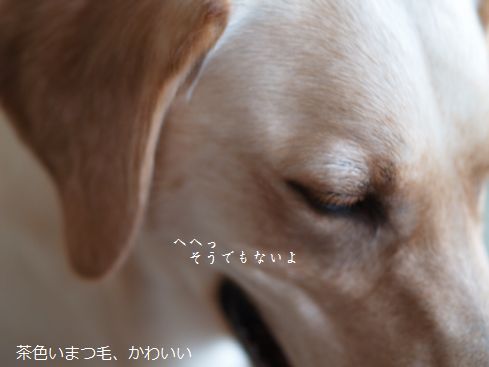 母ちゃんちの晩御飯とどたばた日記-笑顔