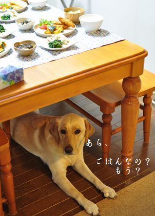 母ちゃんちの晩御飯とどたばた日記