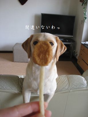 おいしいもの