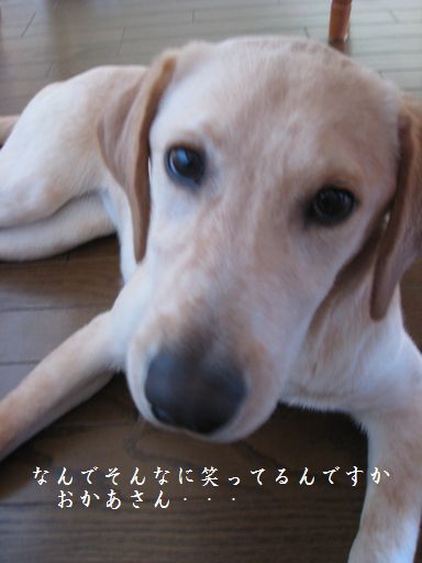 tenkichiのブログ-目が覚めちゃった