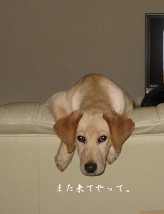 ええええええええーーーー