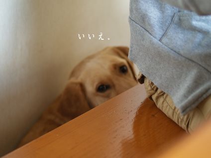 母ちゃんちの晩御飯とどたばた日記