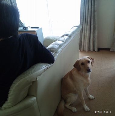 母ちゃんちの晩御飯とどたばた日記