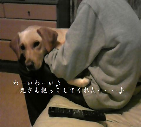 母ちゃんちの晩御飯とどたばた日記