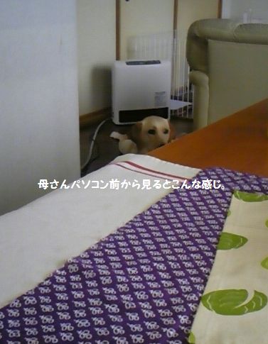 あったかいのが好き