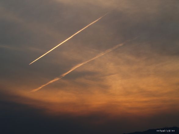 母ちゃんちの晩御飯とどたばた日記