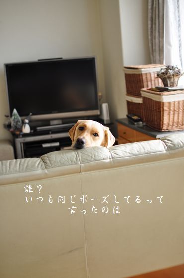 母ちゃんちの晩御飯とどたばた日記