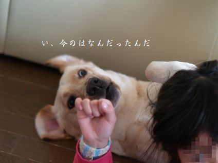 3姉妹
