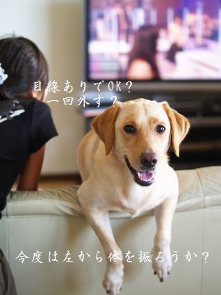 母ちゃんちの晩御飯とどたばた日記