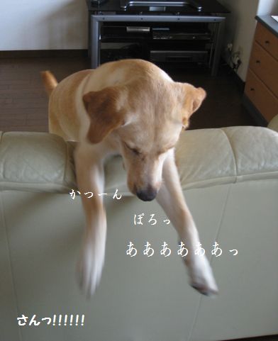 母ちゃんちの晩御飯とどたばた日記-20080718095519