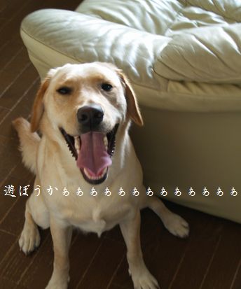 春休み