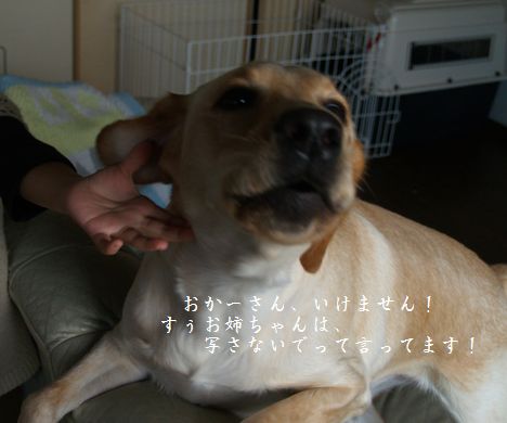 tenkichiのブログ-PC218898
